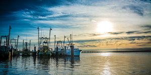 Dock Sunset Matthew Raynor Photography