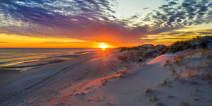 Sunlit Dunes Matthew Raynor Photography
